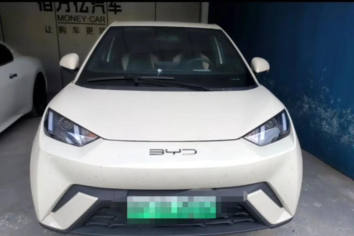 BYD Seagull