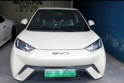 BYD Seagull