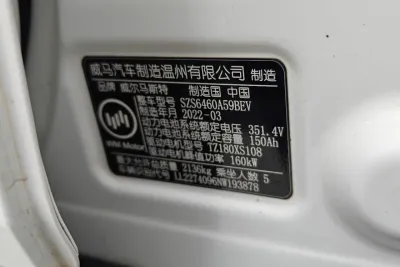 WM Motor EX5-Z Pro