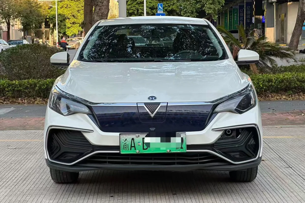 Venucia D60 EV Plus