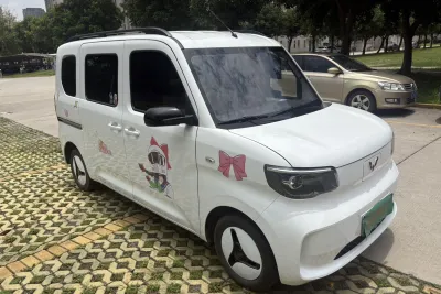 Wuling Zhiguang EV