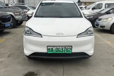 NETA V