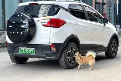BYD Yuan Pro